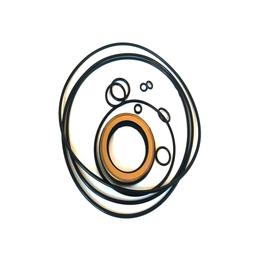 Swing Motor Seal Kit For HYUNDAI R225-9 sale
