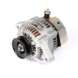 Buy 12V 55A Alternator 185046470 for Perkins Engine 402D-05 402F-05 403D-07