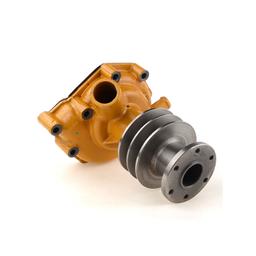 Engine Water Pump 6110-63-1111 for Komatsu GD31-3H GD37-5H Engine 4D120 sale