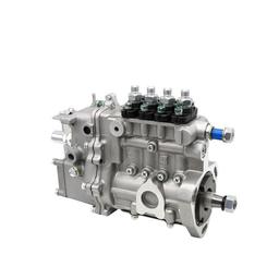 Buy Fuel Injection Pump 2854021 for CASE Tractor MXU115 MXU130