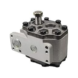 Buy Hydraulic Gear Pump 23.2 CC 84573150 308873A1 for CASE CX50 C70 CX60 C80 CX70 C90 CX80 C100 CX90 C50 CX100 C60