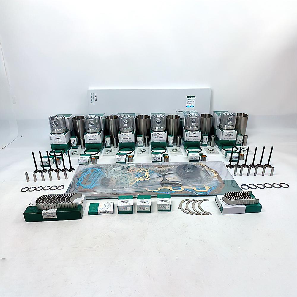 Overhaul Rebuild Kit for Hino M10C Engine