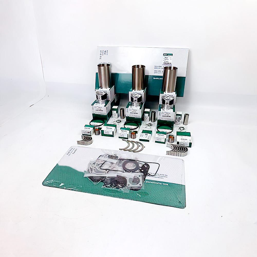 Overhaul Rebuild Kit for Komatsu 3D78N-F1B 3D78N Engine