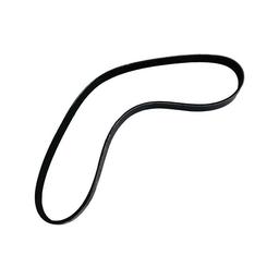 Buy V Ribbed Fan Belt 217638 for Cummins Engine NTA855 N14