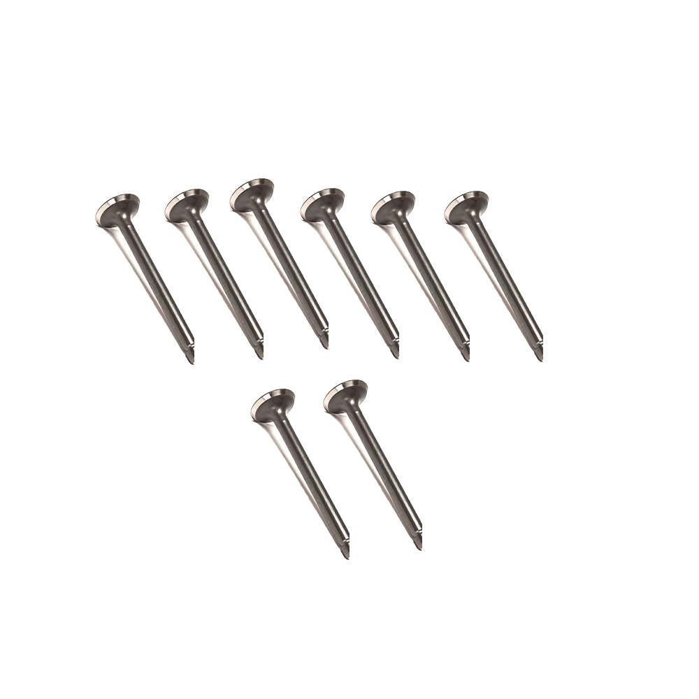 1 Set Intake Exhaust Valve for Shabaira N844-T-l65X-03 Serial Number 97535