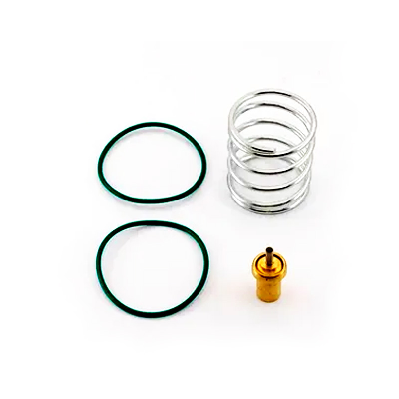 Air Compressor Kit Service Thermostatic Valve Kit 2205490593 for Atlas Copco