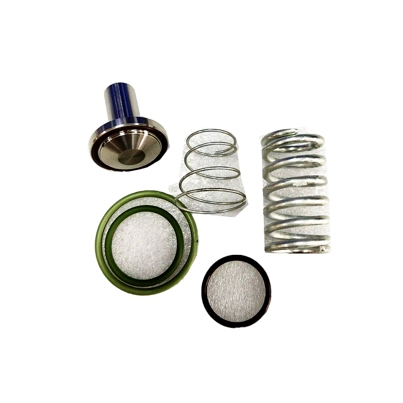 Air Compressor Parts Minimum Pressure Valve Repair Kit 1625170482 for Bolaite
