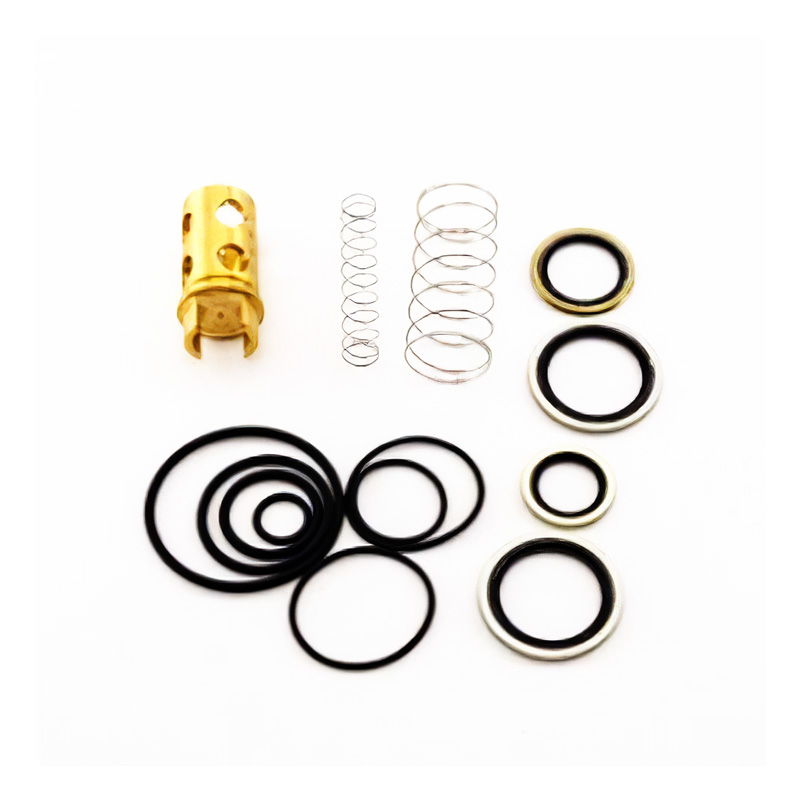 Air Compressors Oil Stop Check Valve Kit 2901021701 for Atlas Copco