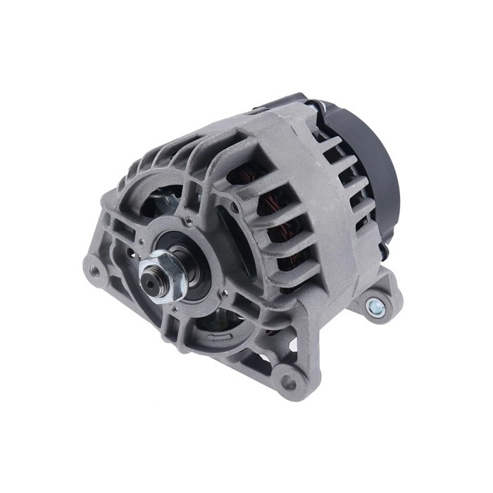 Alternator 2871A306 for Perkins Engine 1004-40T 1004-42 1006-6 1006-60 1006-60T 1006-60TW 1006-6T 1103A-33 1104A-44 12V 65A