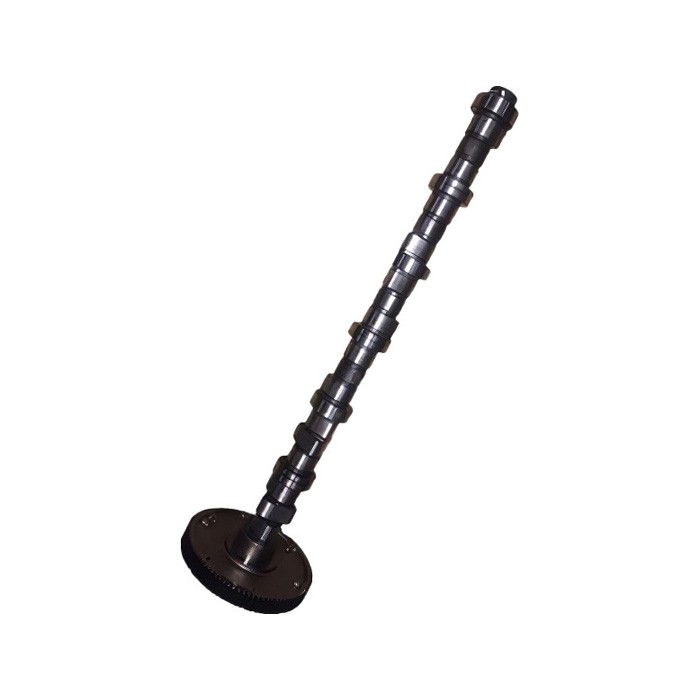 Camshaft for Volvo D6E Engine