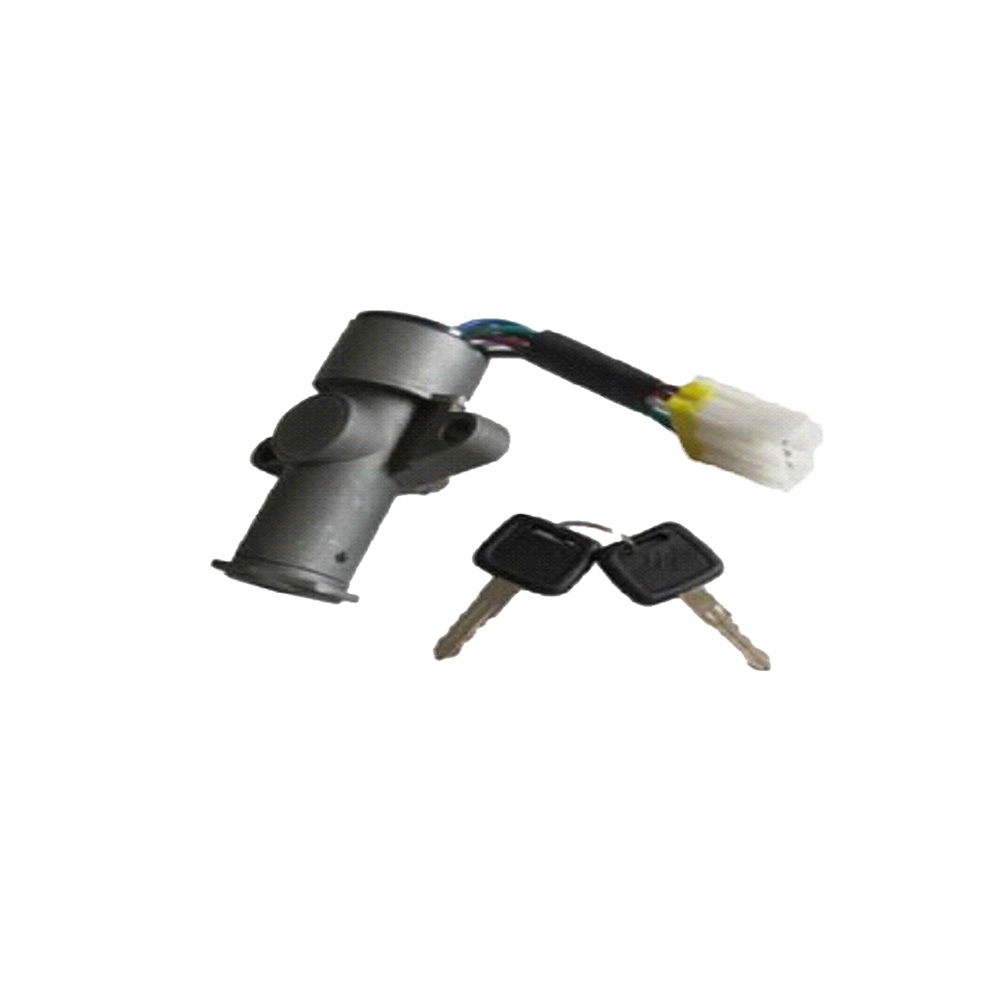 Car Lock Cylinder Set 1-79138199-4 for Isuzu Engine 6HH1 6HK1 10PE1 6WF1 Truck FVZ34 FVR CYZ51K