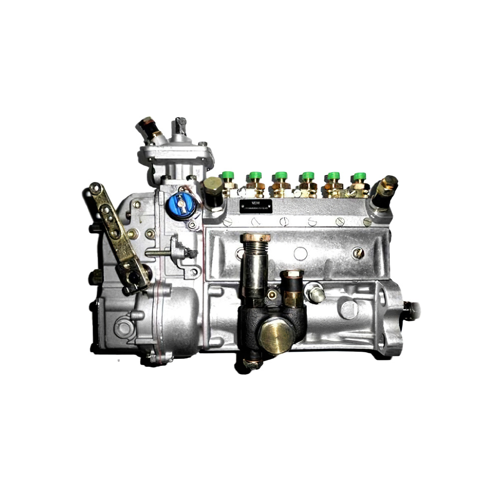 Fuel Injection Pump 02231884 for Deutz Engine BF6L913