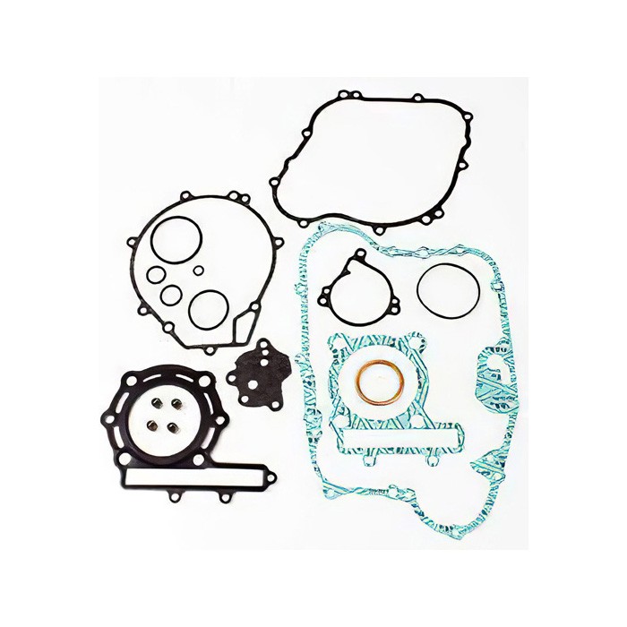 Full Gasket Kit 6668899 for Bobcat 863 864 873 883 A220 A300 S250 T200