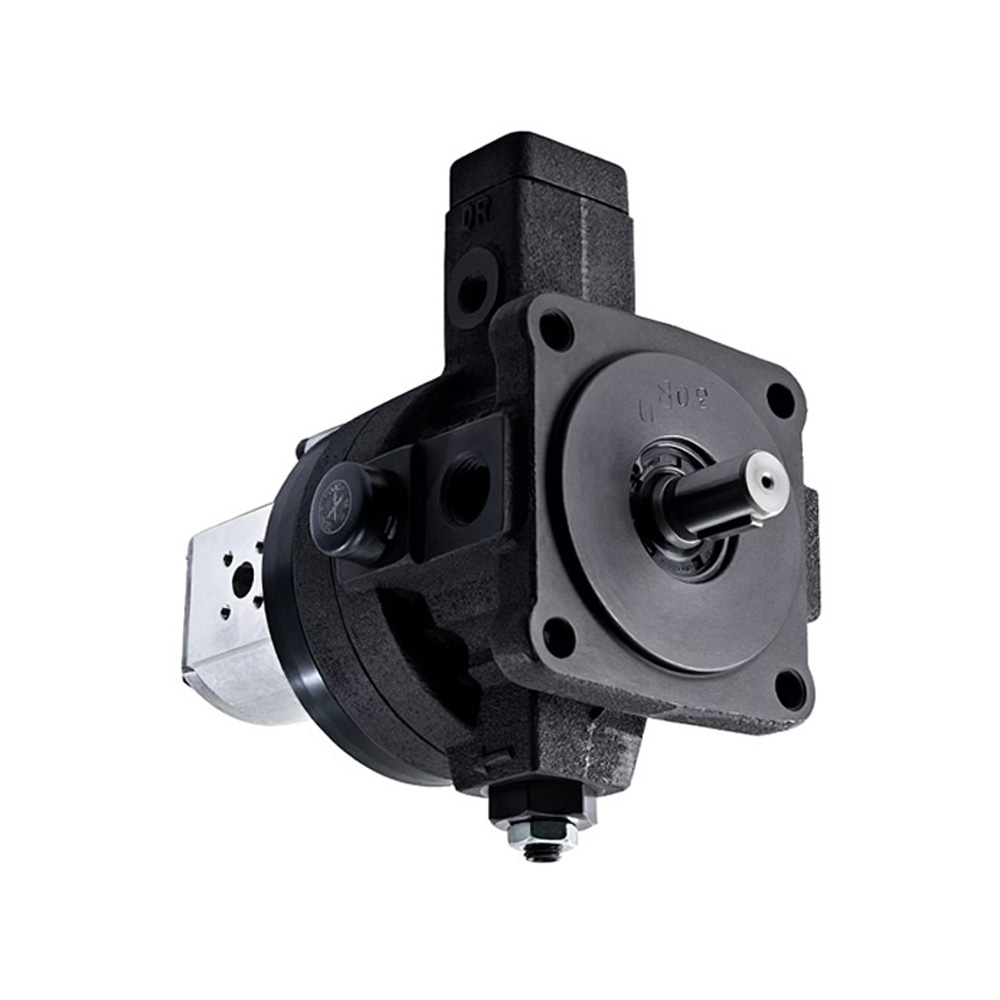 Hydraulic Oil Pump VCM-SF-40D-10 for CML