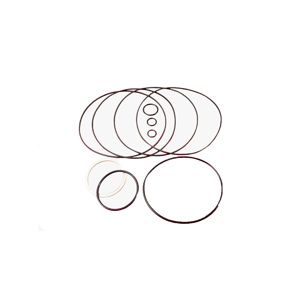 Hydrostatic Motor Seal Kit 6676021 for Bobcat 863 873 883 A220 A300 S220 S250 S300 S630 S750 S770 Original
