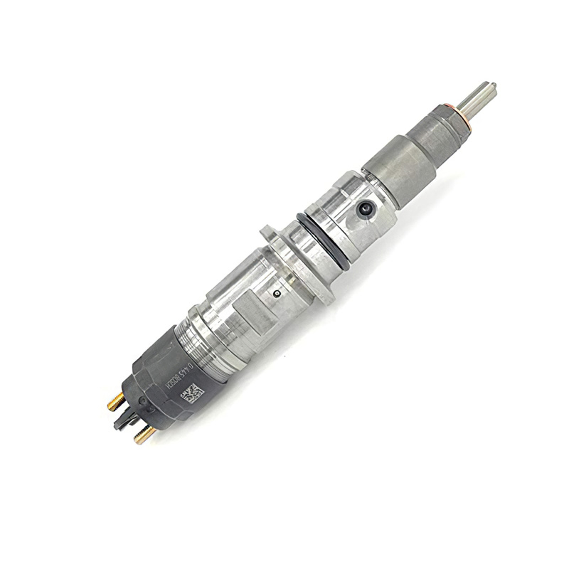 Injector Nozzle a0050176921 for Mercedes Benz Actros MP2 MP3