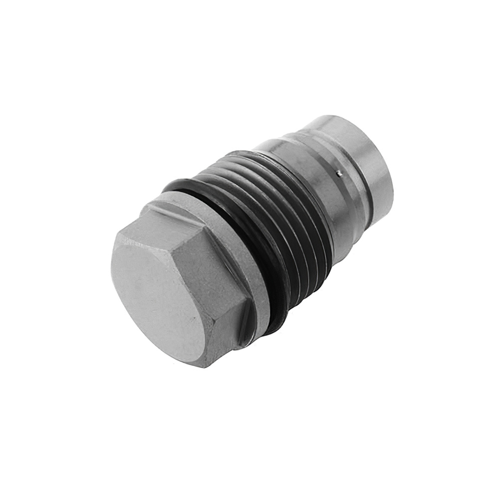 Original Common Rail Pressure Relief Valve Pressure Limting Valve 1110010016 for Bosch