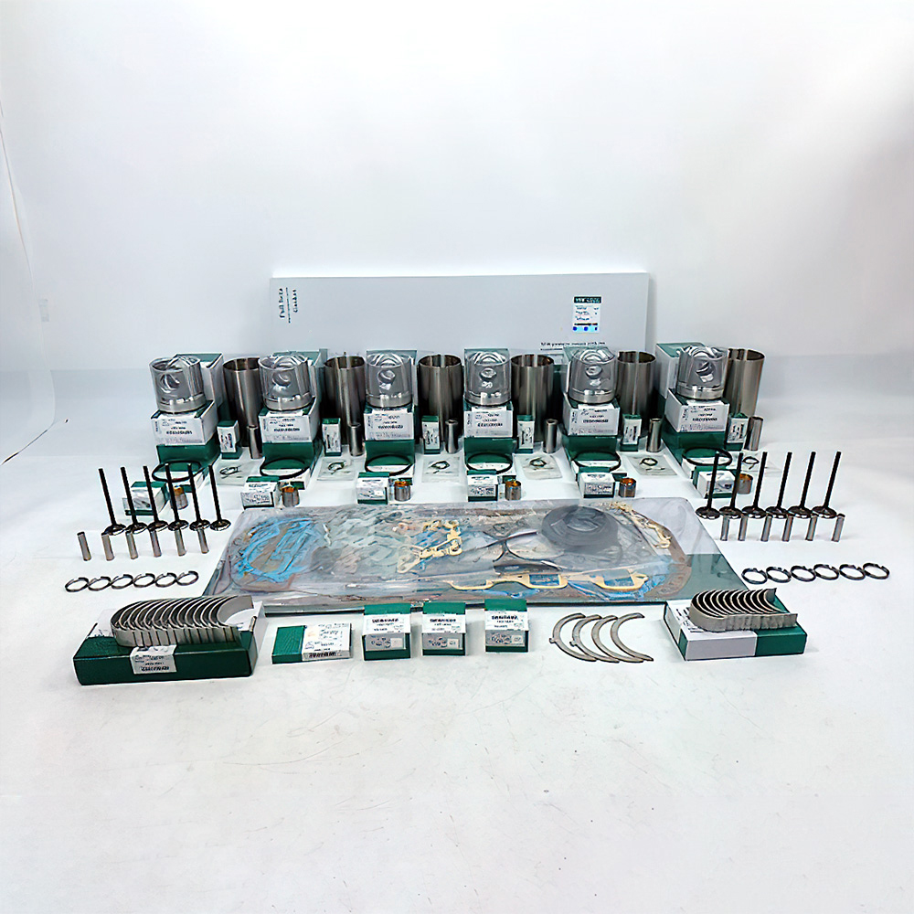 Overhaul Rebuild Kit for Hino P11C Engine 700 Truck