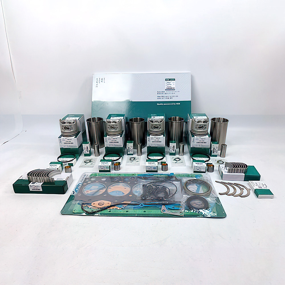 Overhaul Rebuild Kit for Isuzu C221 Engine Komatsu Forklift Truck Machine Overhaul Rebuild Kit for Isuzu C221 Engine Komatsu Forklift Truck Machine