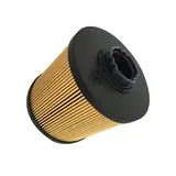 Buy Fuel Filter Element YT21P01006R100 For New Holland E70BSR