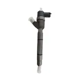 Fuel Injection 0445110255 for Hyundai D4FA D4FB D3FA D4FA-G online
