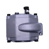 Hydraulic Gear Pump 110509C91 for CASE 484 584 684 784 884 Tractor