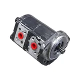 Hydraulic Pump T2195-76001 T2185-76102 T2195-31501 for Kioti CK25 CK27 CK30 CK35 LK3054 Tractor online