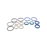Steering Cylinder Seal Kit 401061A1 for New Holland Loader LV80 U80 U80B U80C online