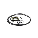 Buy Swing Motor Seal Kit For Doosan DH80GOLD