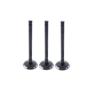 For Hitachi Excavator EX22 EX25 Isuzu Engine 3KR1 Exhaust Valve 3 Units 1 Set