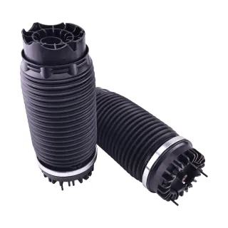 1 Pair Rear Left Right Air Suspension Spring 68260938AA for 2019-2024 Dodge Ram 1500