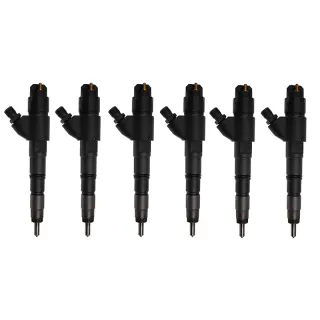 6Pcs Fuel Injector VOE20798683 04290987 for Deutz TCD4L2012 TCD6L2012 Volvo D6E Engine EC200 EC210 EC210B Excavator