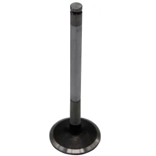 1 Set Intake Valves 65.04101-0041 for Doosan Engine GE08TI