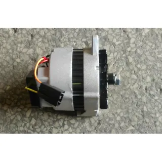 12V 51A Alternator 8446257 4117D21G01 4117D21G02 for Thermo King Refrigeration Unit SB-I SB-II Sentry Super NWD