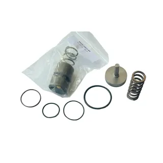 Thermostat Repair Kit 2901200653 for Atlas Copco Screw Air Compressor