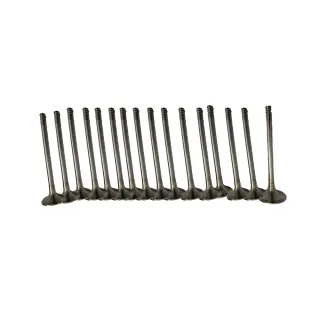 16 Pcs Exhaust Valves 16 Pcs Intake Valves for Deutz BF8M1015C Engine