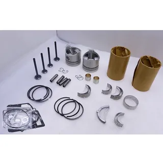 Overhaul Rebuild Kit for Kubota Engine ZB500 Tractor B5000 B5001 B5100 B10 ZB5000 ZB5001