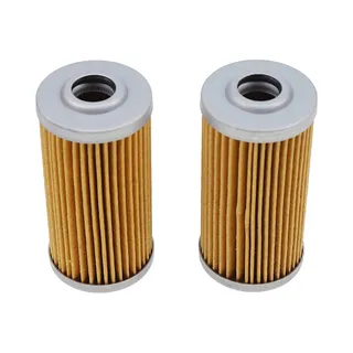 2 Fuel Filters 3608255M1 for Massey Ferguson GC1715 GC1720 GC1723E GC1725M GC2300