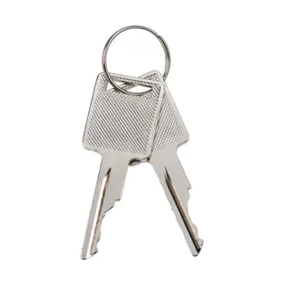 2 Ignition Keys 1964831C2 307852A1 for New Holland Loader L213 L215 L218 L220 L225 W300C W190C W230C U80C