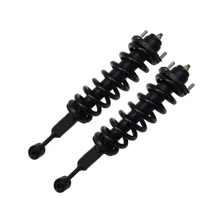 2 Pcs Front Shock Absorber Strut 48510-69195 for Toyota Land Cruise Lexus GX470
