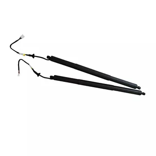 2 Piececs Left & Right Tailgate Lifter 68910-0E070 68920-0E050 for 2020-2024 Toyota Highlander