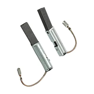 2 Pieces Carbon Brushes 1619PA7345 for Vacuum Cleaner GAS15PS GAS15