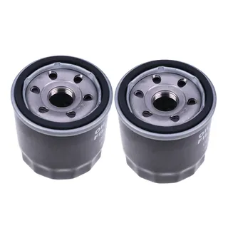 2 Pieces Oil Filter 270Q-17000 for Joyner 650 2 Cylinder LJ276 Engine Sand Spider Commando Kinroad Goka Roketa