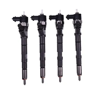 4 PCS Fuel Injector 0445110186 for Bosch