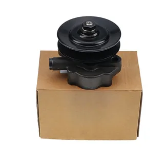 Fuel Pump 4294711 4290599 4290499 4294708 for Deutz BFM2012 TCD 6L 2013 TCD 4L 2012 TCD 6L 2012 Engine