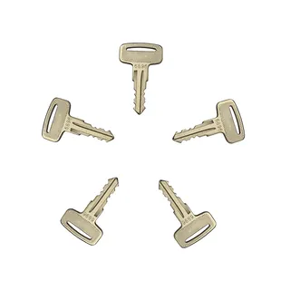 5 PCS Ignition Key 6896 160431 0160431 for Manitou Clarke Linde Polaris Landpride Zero Wacker Neuson