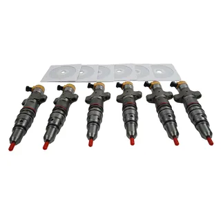 Fuel Injector 254-4339 for Caterpillar CAT Engine C9 Excavator 330D E330D 336 336D E336D