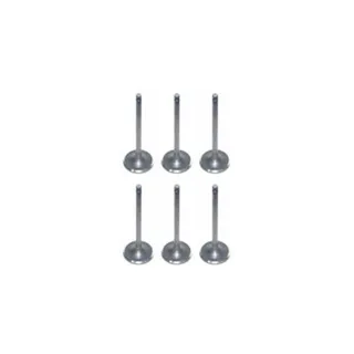 6 Pcs Valve Intake for Cummins 4B 6B 4BT 6BT Engine in USA