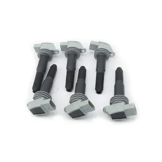 6 PCS Ignition Coil 9A160210400 for Porsche 911 Cayman 981 Boxster 12V