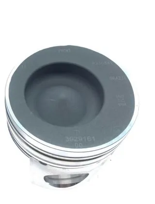 6 pcs Piston 4019886 for Cummins Engine 6CTA ISC QSC 8.3L in USA